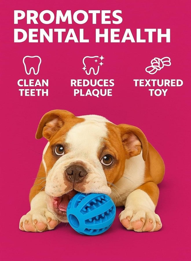 RoverPets Nontoxic Bite Resistant Teething Toys Balls for Small/Medium/Large Dog and Puppy Cat, Dog Pet Food Treat Feeder Chew Tooth Cleaning Ball Exercise Game IQ Training Ball - Image 5